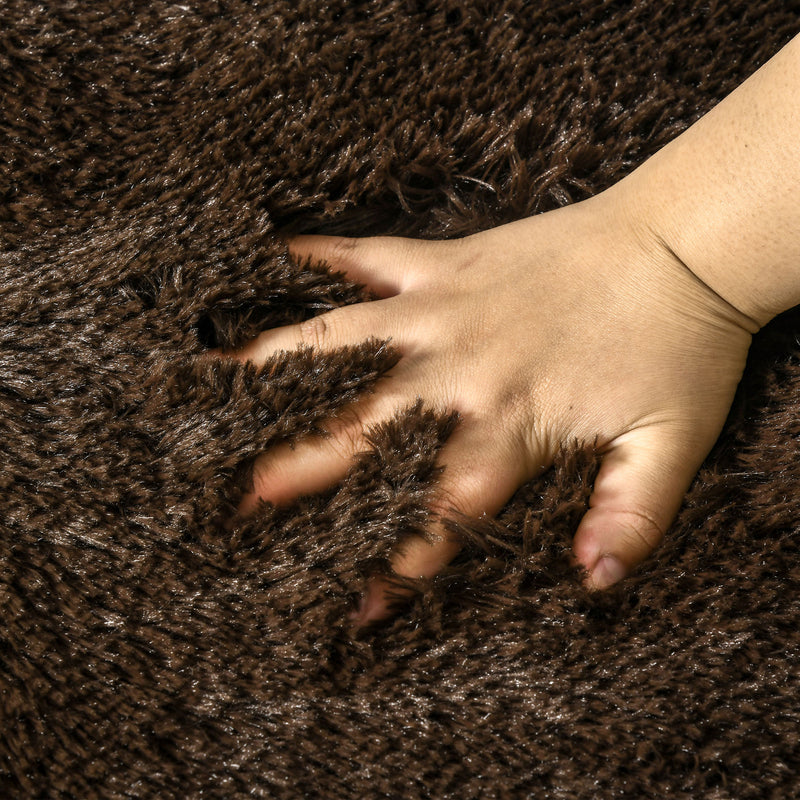 Brown Fluffy Rug, Shaggy Area Rugs Carpet for Living Room, Bedroom, Dining Room, 90x150 cm