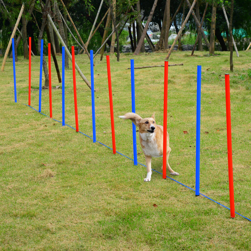 Pet Agility Training Run/Jump Set