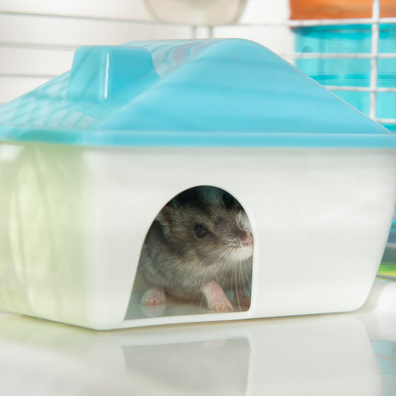 Large Hamster Cage, Multi-storey Gerbil Haven, Small Rodent House, Tunnel Tube System, with Water Bottle, Exercise Wheel, Food Dish,Ramps Blue