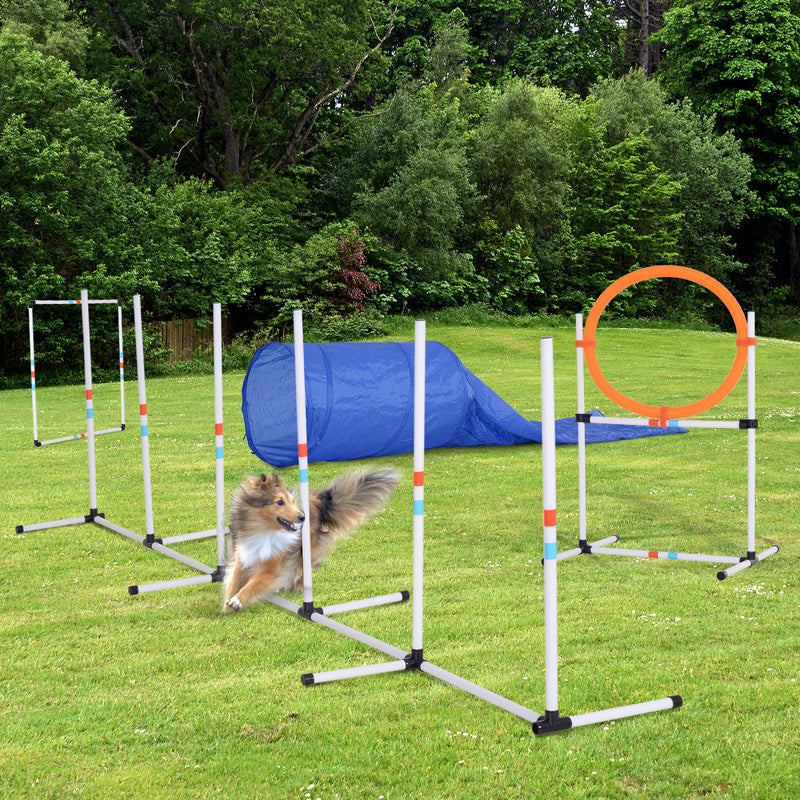 Dogs PE Set-of-5 Obstacle Agility Training Set White