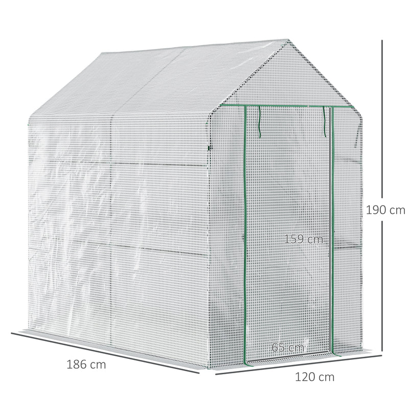 Walk in Garden Greenhouse with Shelves Polytunnel Steeple Grow House 186L x 120W 190Hcm White